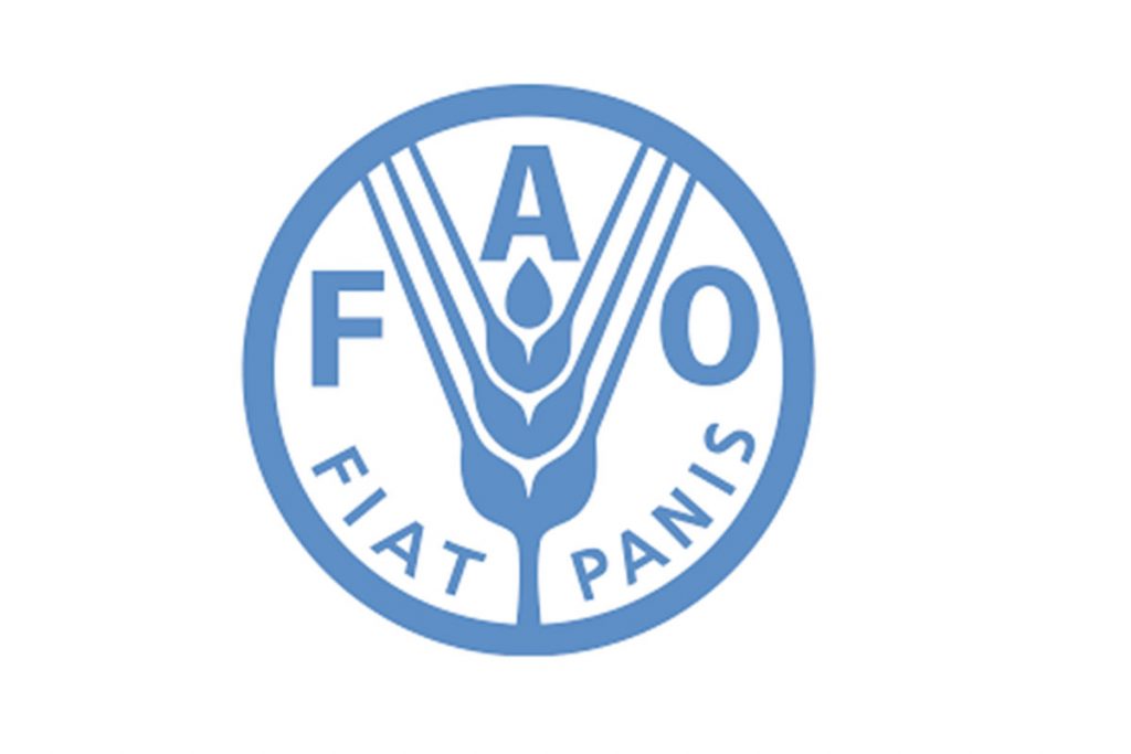 Programme de bourses d’études de la FAO en Hongrie