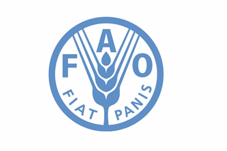 fao hongrie